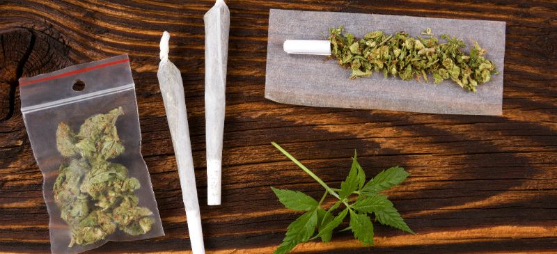 Ingestions accidentelles de cannabis par les enfants