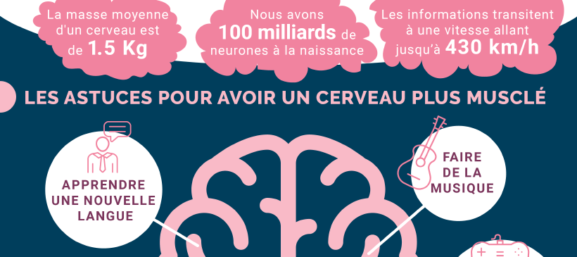 Infographie pour muscler son cerveau