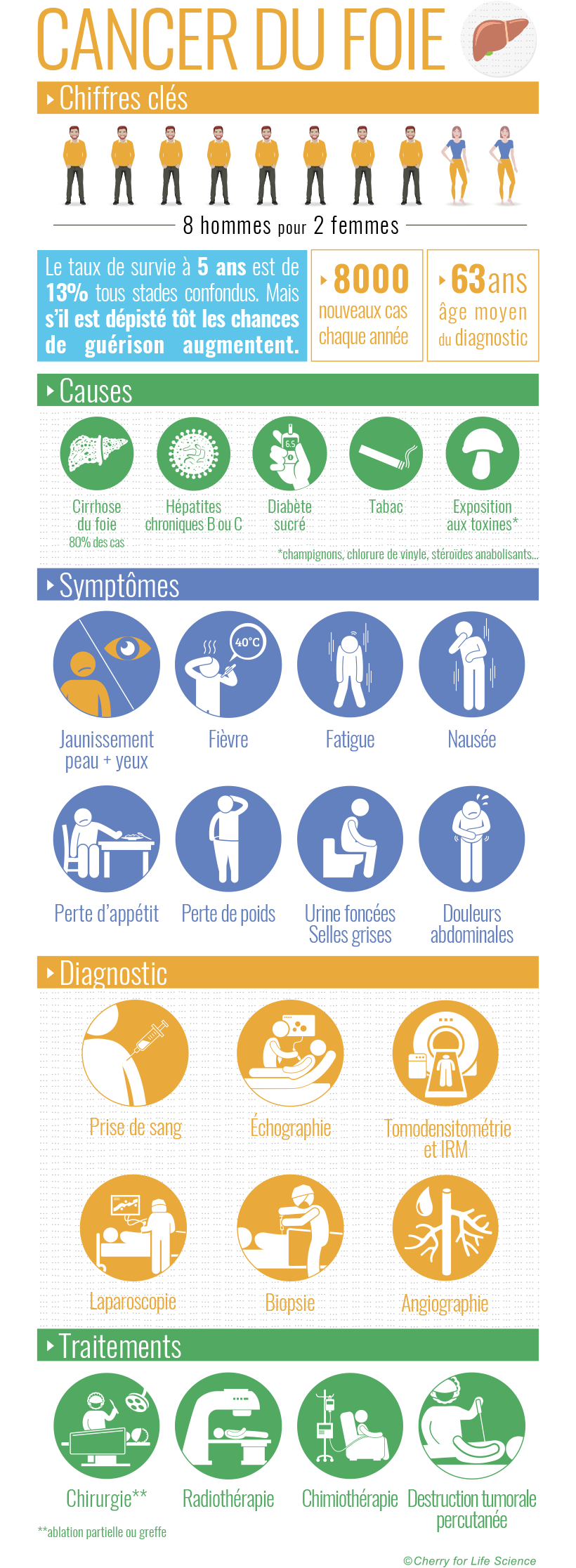 infographie cancer du foie