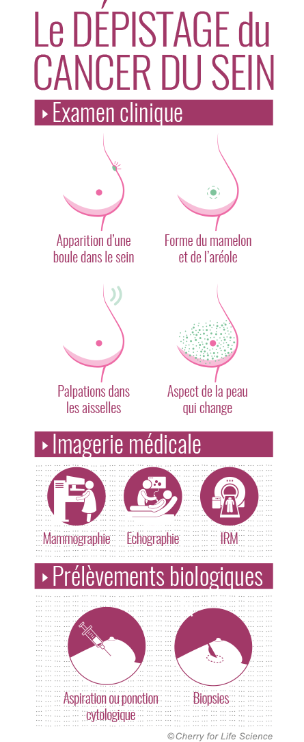 Infographie : dépistage du cancer du sein