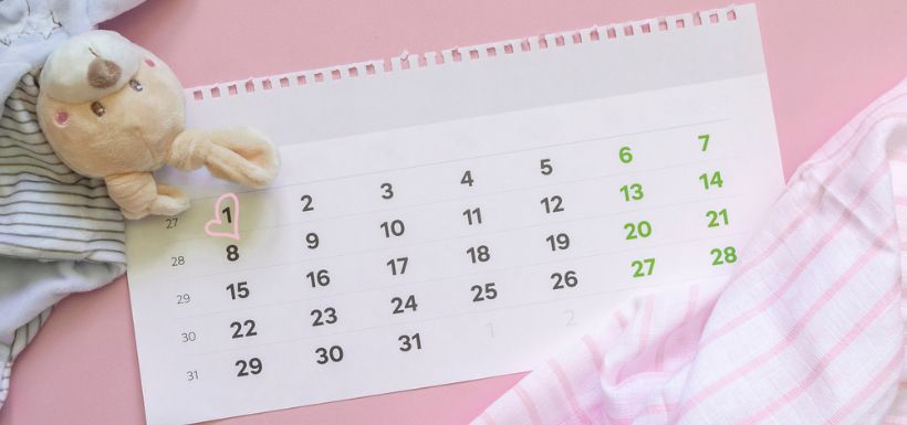 calendrier de grossesse