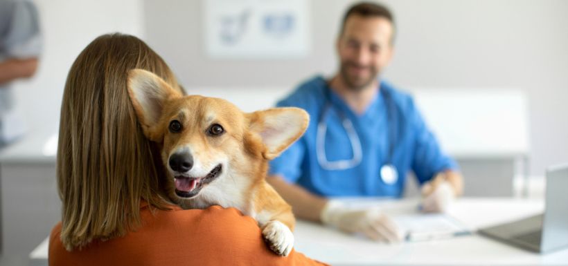 header pour l'article "Quel est l'intérêt des mutuelles pour nos animaux de compagnie ?" - chien au vétérinaire